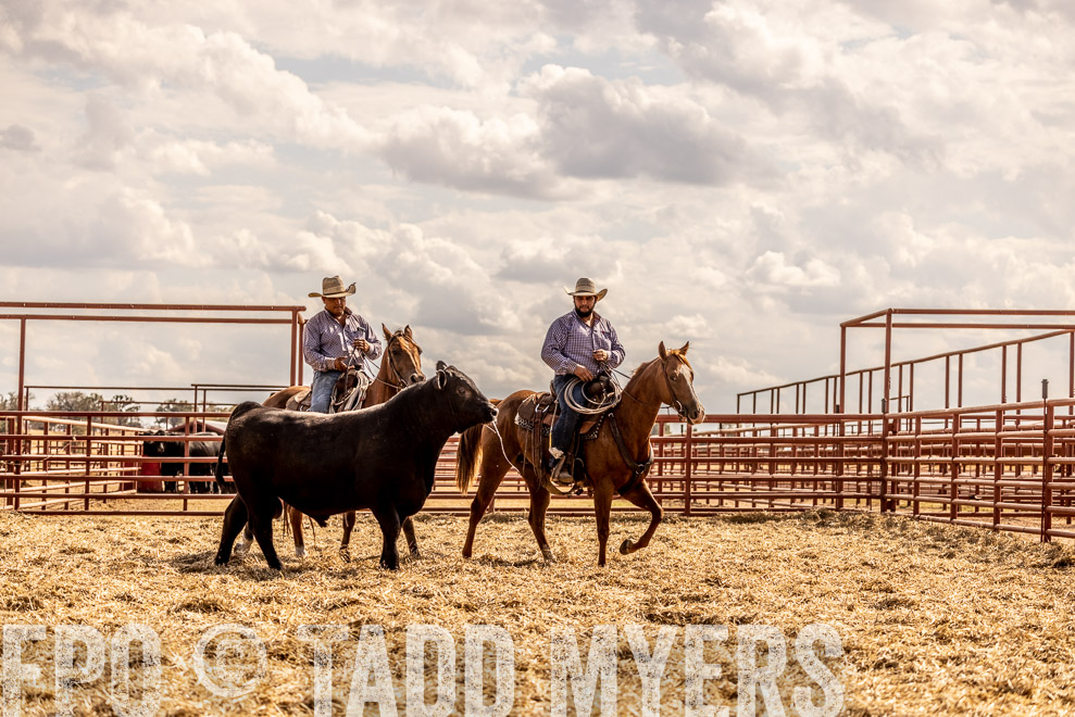 TMyers_SaleBookCover_CameronTX_Sept2021-529489