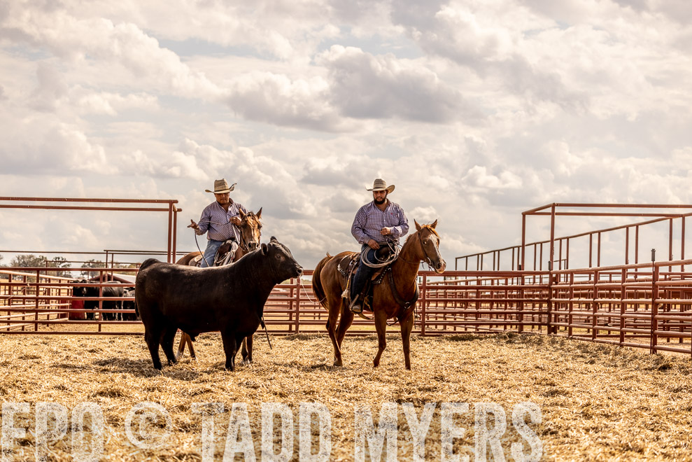TMyers_SaleBookCover_CameronTX_Sept2021-529491