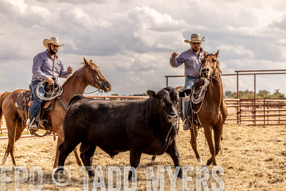 TMyers_SaleBookCover_CameronTX_Sept2021-529499
