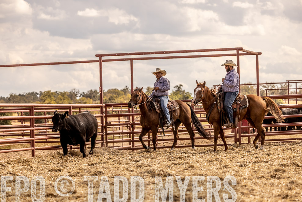 TMyers_SaleBookCover_CameronTX_Sept2021-529512