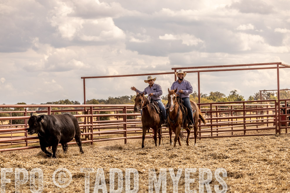 TMyers_SaleBookCover_CameronTX_Sept2021-529515