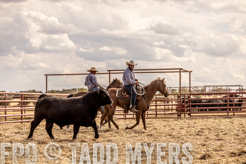 TMyers_SaleBookCover_CameronTX_Sept2021-529521