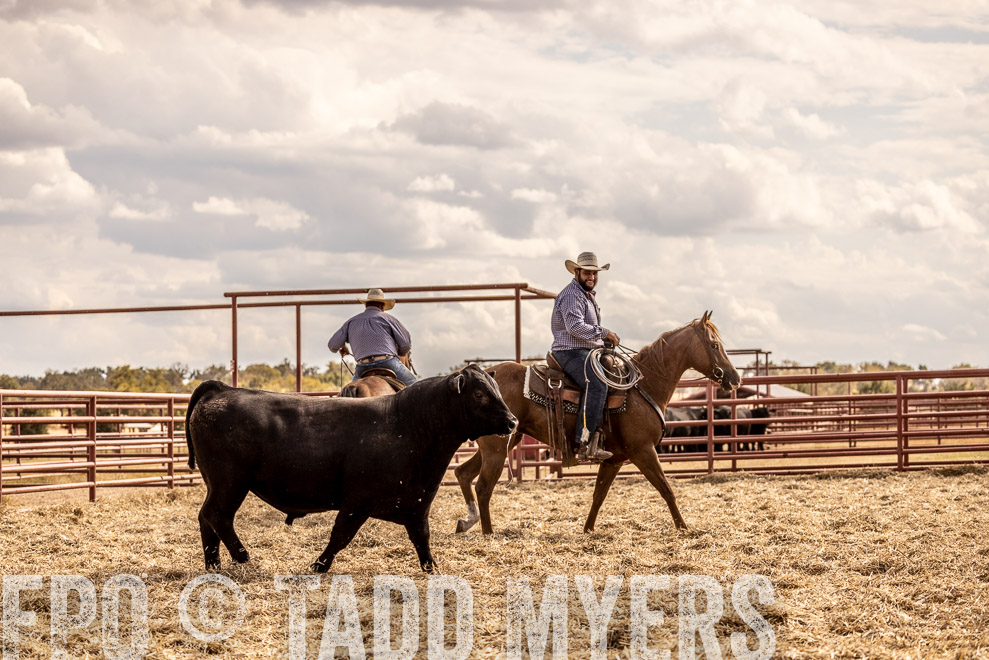 TMyers_SaleBookCover_CameronTX_Sept2021-529525