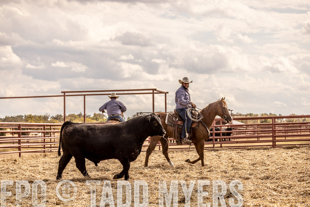 TMyers_SaleBookCover_CameronTX_Sept2021-529526
