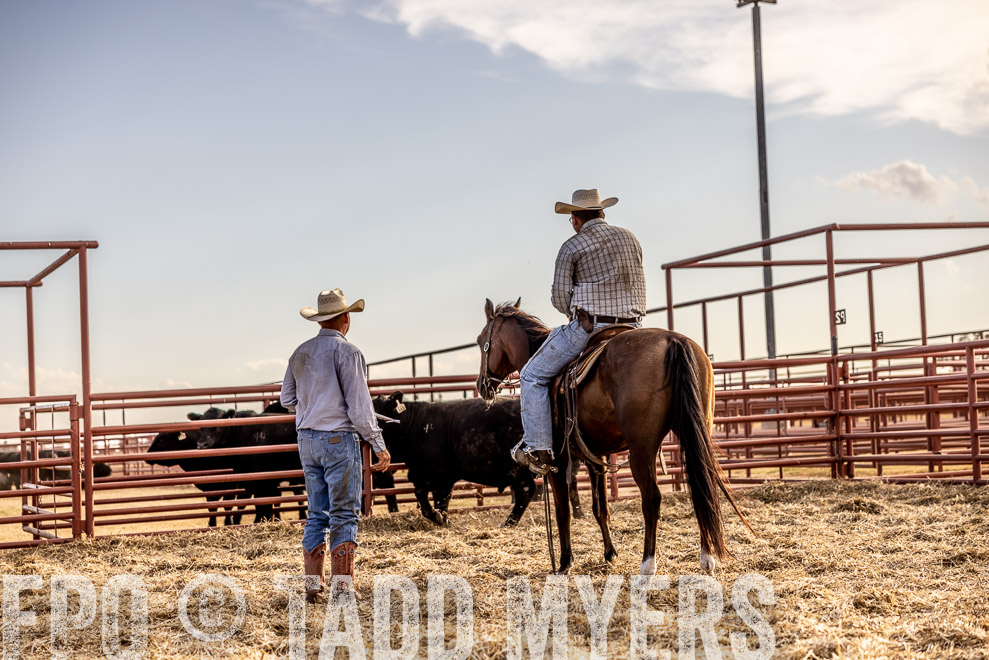 TMyers_SaleBookCover_CameronTX_Sept2021-529708