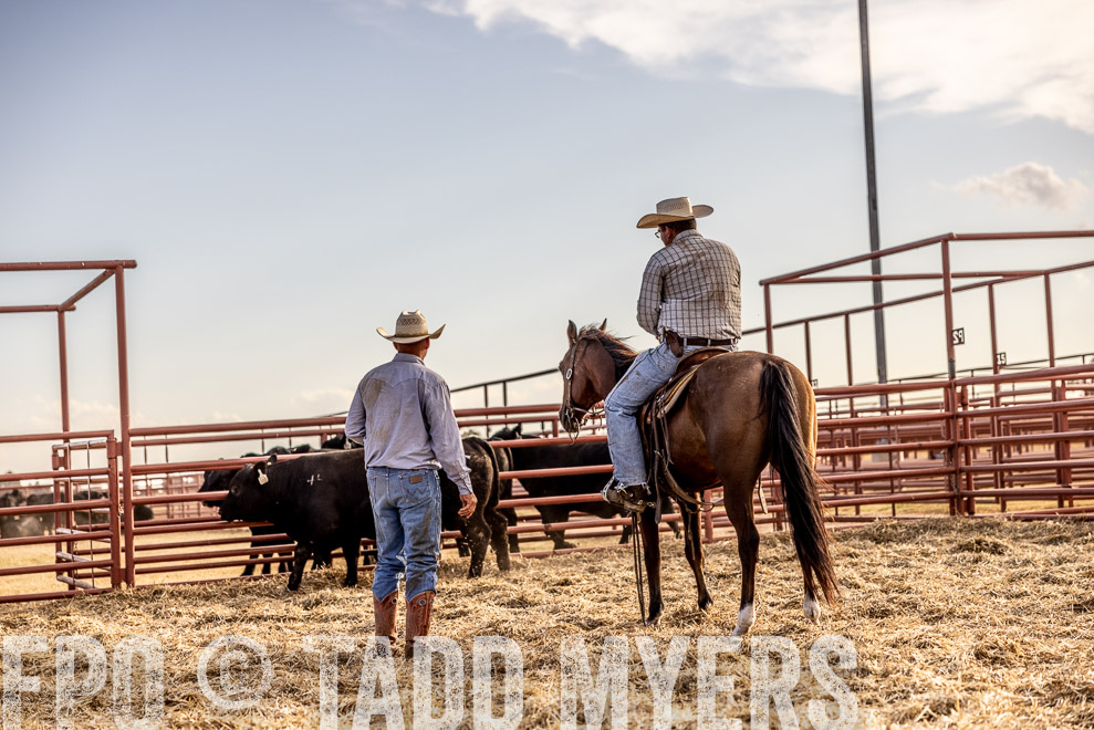 TMyers_SaleBookCover_CameronTX_Sept2021-529710