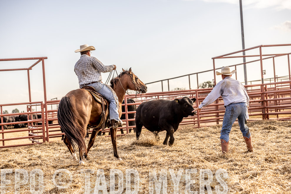 TMyers_SaleBookCover_CameronTX_Sept2021-529717