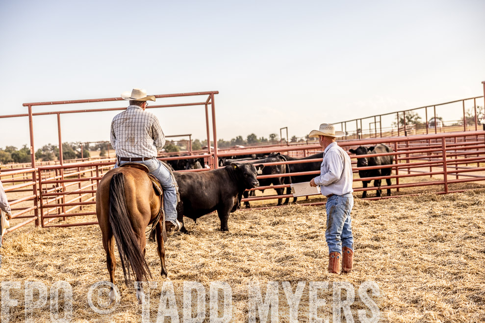 TMyers_SaleBookCover_CameronTX_Sept2021-529723