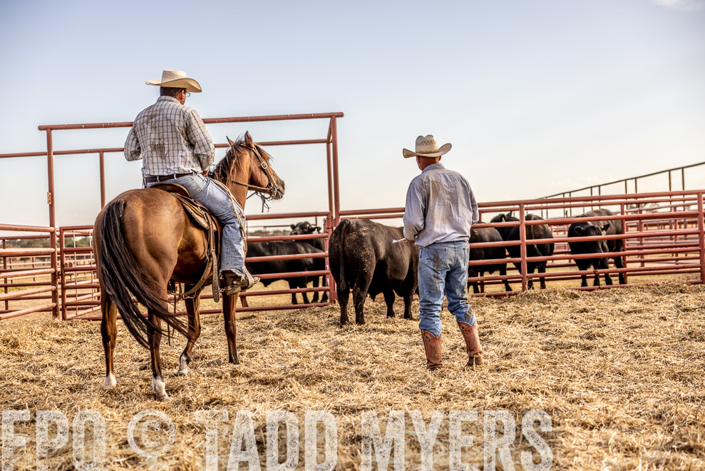 TMyers_SaleBookCover_CameronTX_Sept2021-529762