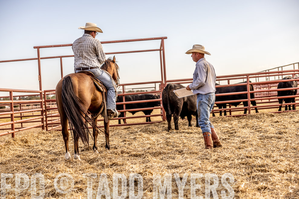 TMyers_SaleBookCover_CameronTX_Sept2021-529767