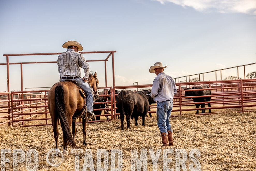 TMyers_SaleBookCover_CameronTX_Sept2021-529785