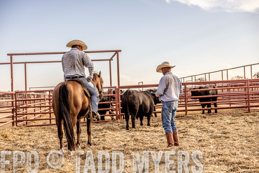 TMyers_SaleBookCover_CameronTX_Sept2021-529786