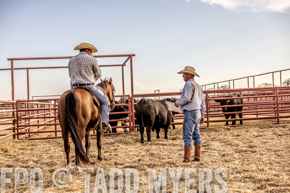 TMyers_SaleBookCover_CameronTX_Sept2021-529787