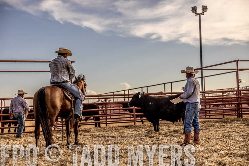 TMyers_SaleBookCover_CameronTX_Sept2021-529820