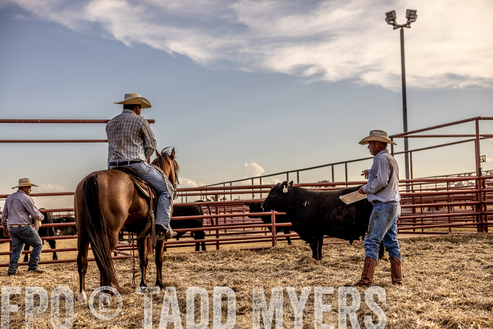 TMyers_SaleBookCover_CameronTX_Sept2021-529821