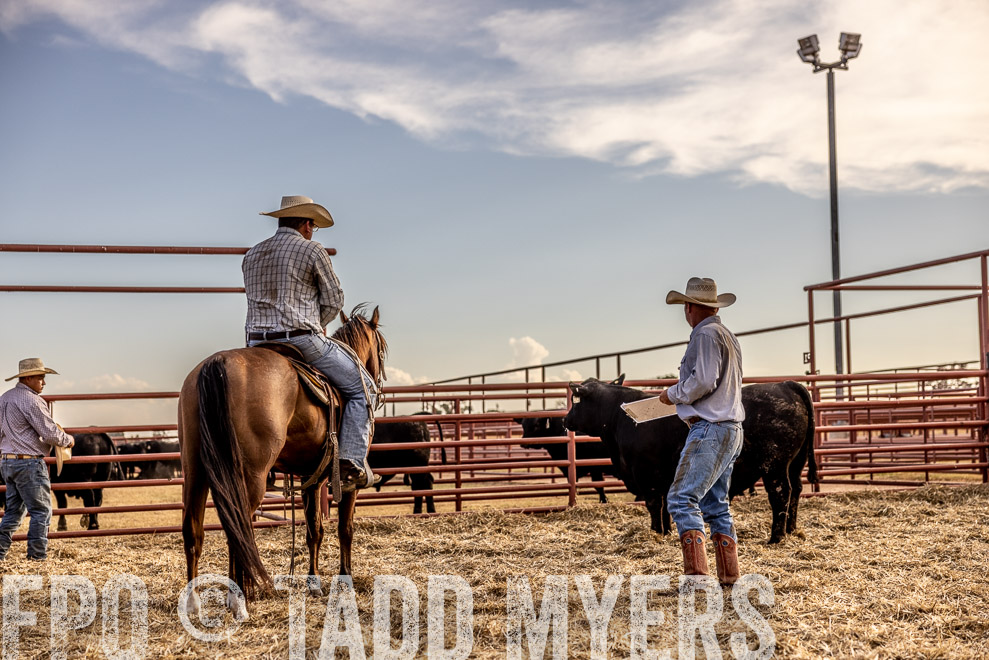 TMyers_SaleBookCover_CameronTX_Sept2021-529823