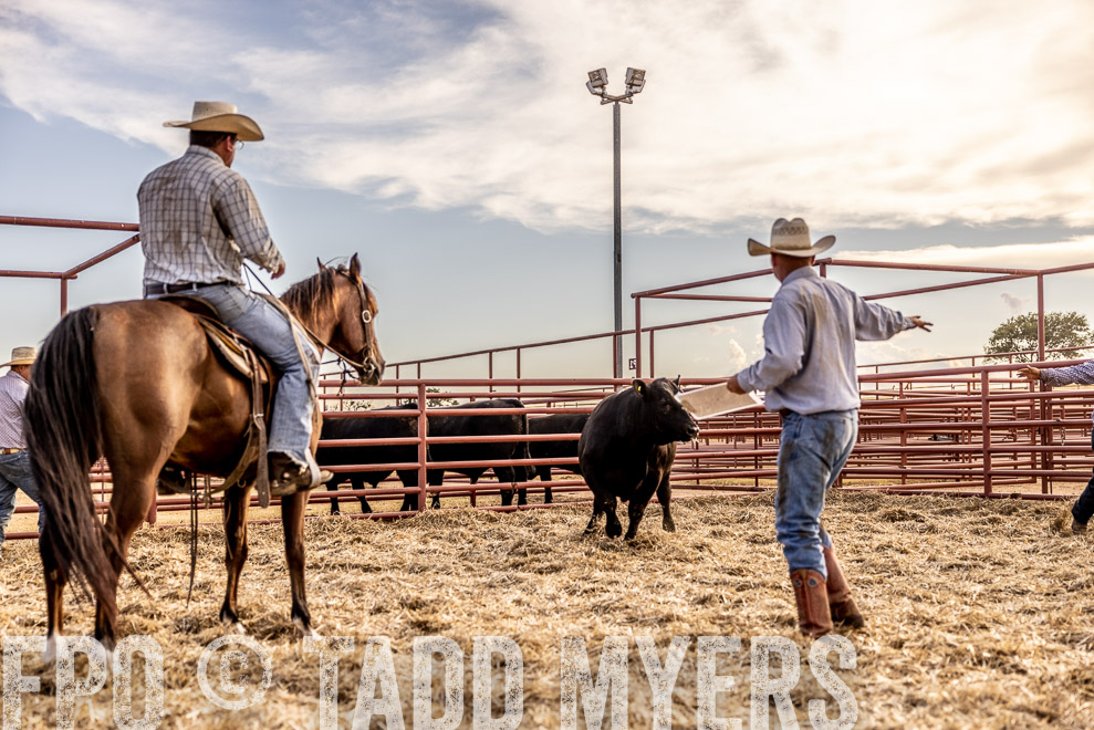 TMyers_SaleBookCover_CameronTX_Sept2021-529851