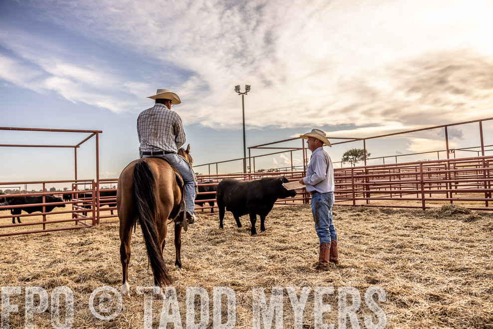 TMyers_SaleBookCover_CameronTX_Sept2021-529934