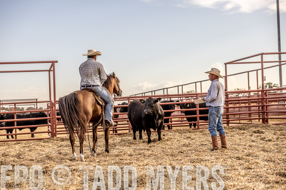 TMyers_SaleBookCover_CameronTX_Sept2021-529961