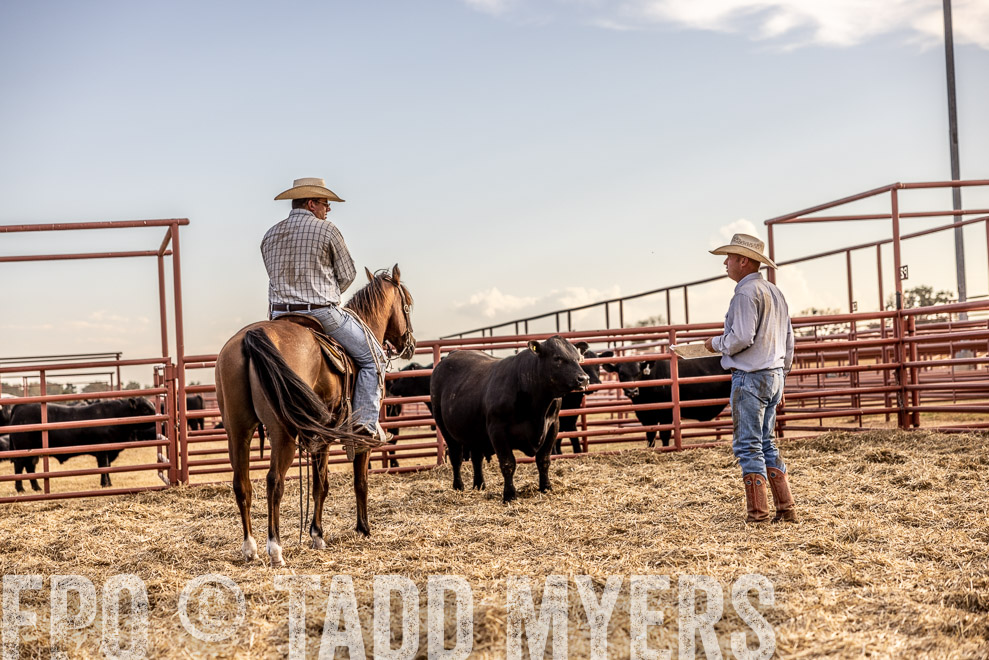 TMyers_SaleBookCover_CameronTX_Sept2021-529967