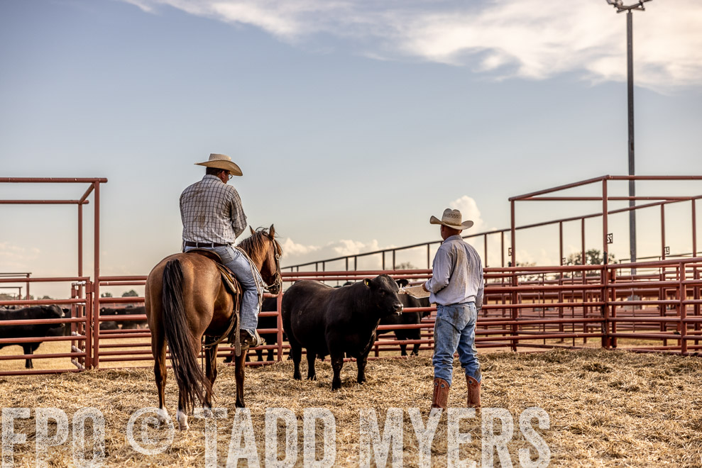 TMyers_SaleBookCover_CameronTX_Sept2021-529986