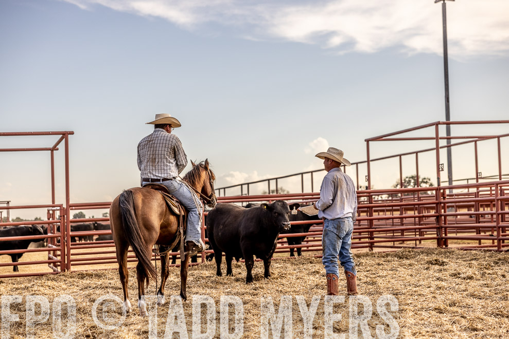 TMyers_SaleBookCover_CameronTX_Sept2021-529998