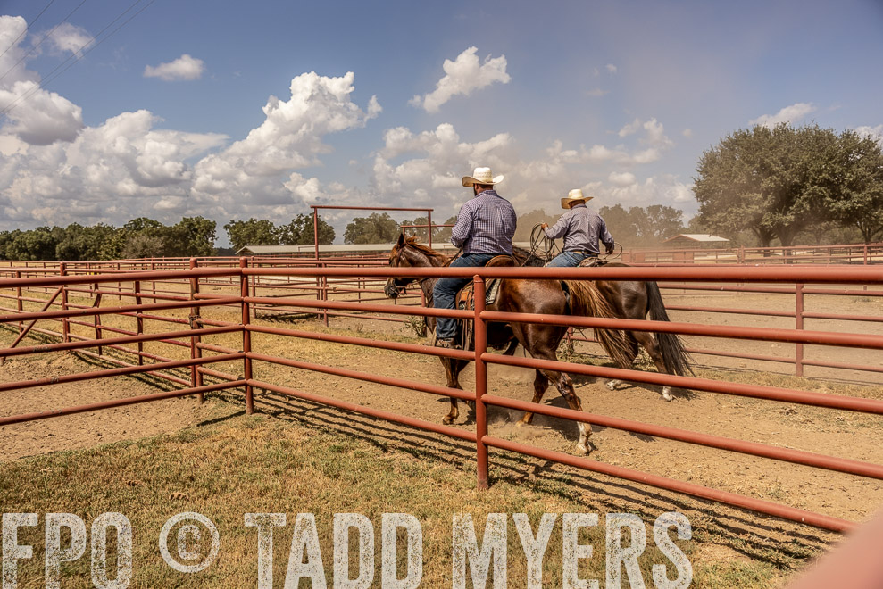 TMyers_SaleBookCover_CameronTX_Sept2021-9155