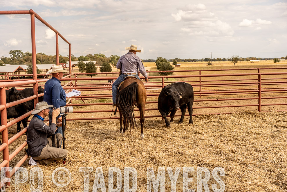 TMyers_SaleBookCover_CameronTX_Sept2021-9161