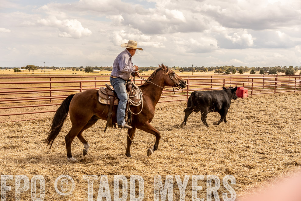 TMyers_SaleBookCover_CameronTX_Sept2021-9165