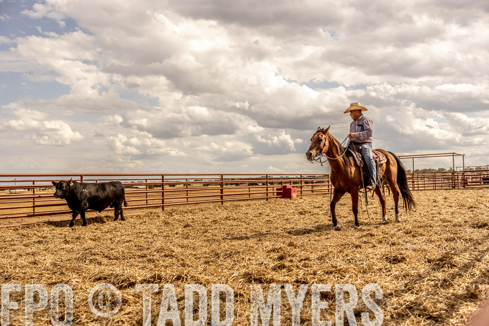 TMyers_SaleBookCover_CameronTX_Sept2021-9184
