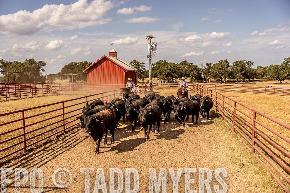 TMyers_SaleBookCover_CameronTX_Sept2021-9232