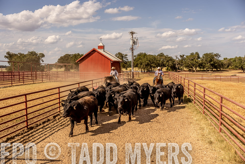 TMyers_SaleBookCover_CameronTX_Sept2021-9235