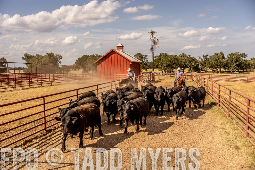 TMyers_SaleBookCover_CameronTX_Sept2021-9237