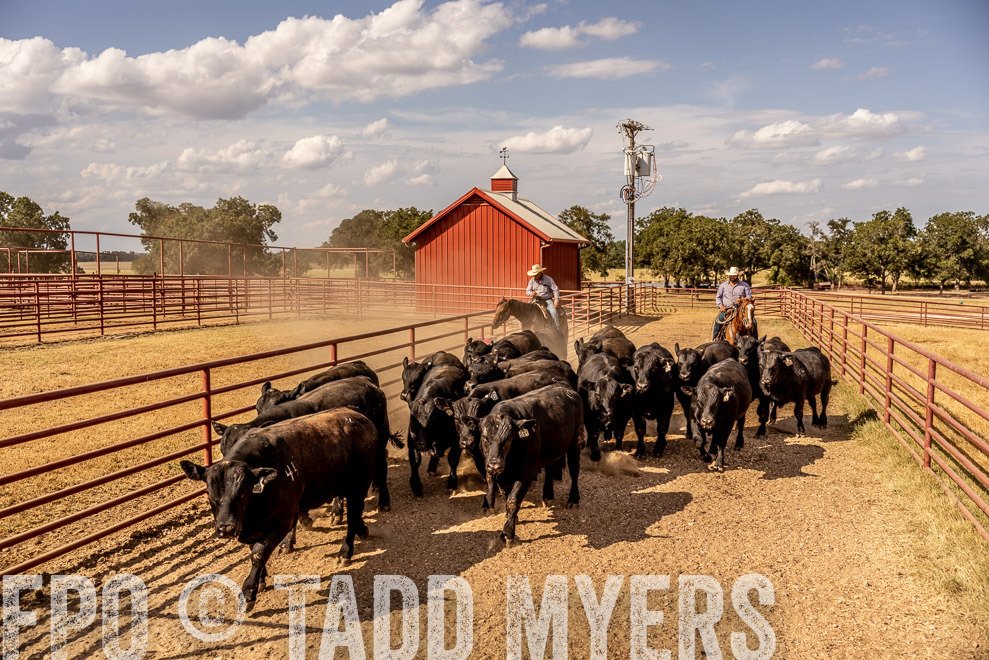 TMyers_SaleBookCover_CameronTX_Sept2021-9240