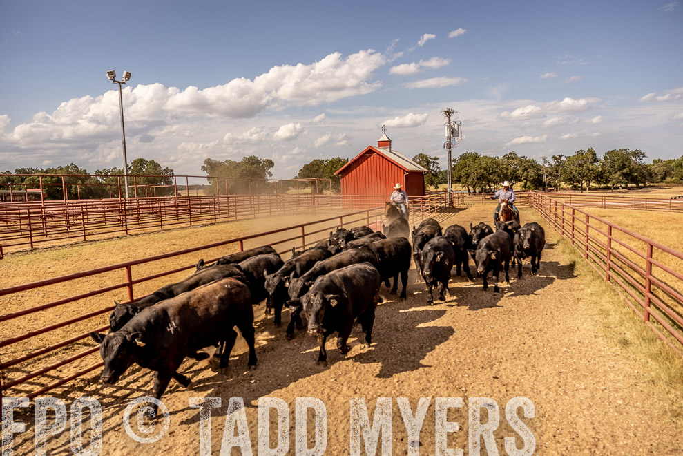 TMyers_SaleBookCover_CameronTX_Sept2021-9246