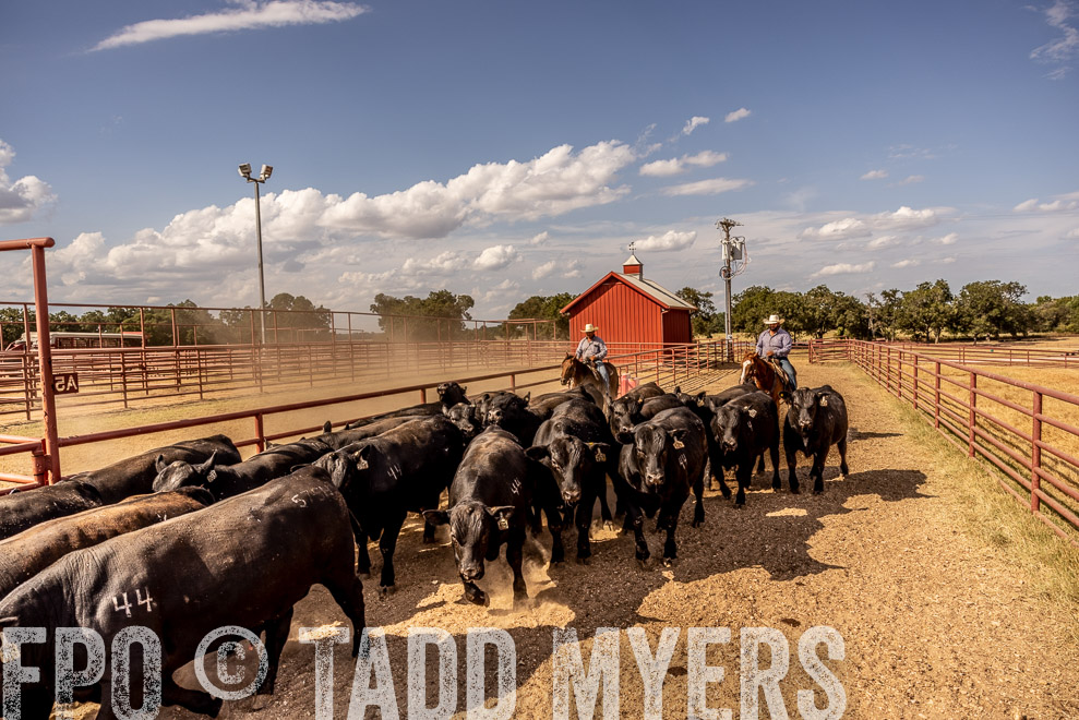TMyers_SaleBookCover_CameronTX_Sept2021-9256