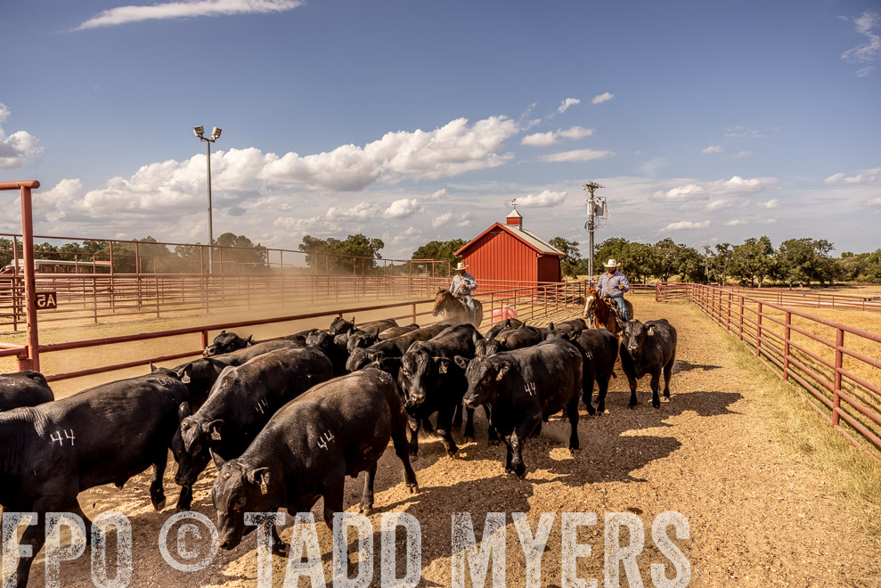 TMyers_SaleBookCover_CameronTX_Sept2021-9258