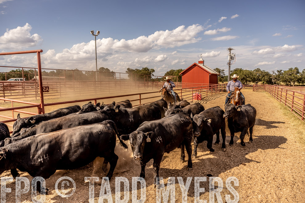 TMyers_SaleBookCover_CameronTX_Sept2021-9266