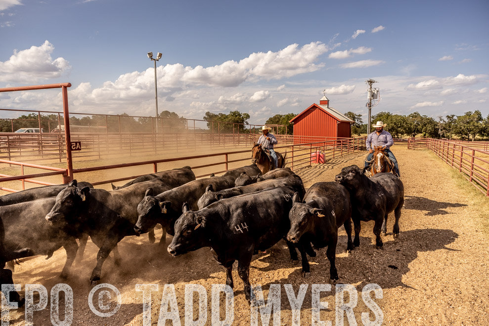 TMyers_SaleBookCover_CameronTX_Sept2021-9270