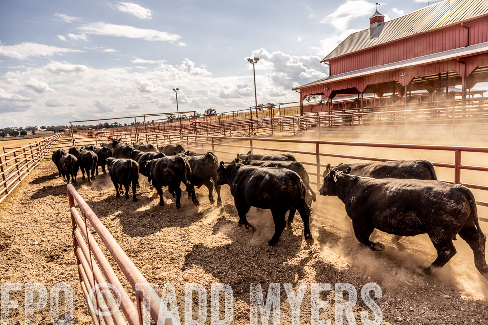TMyers_SaleBookCover_CameronTX_Sept2021-9282