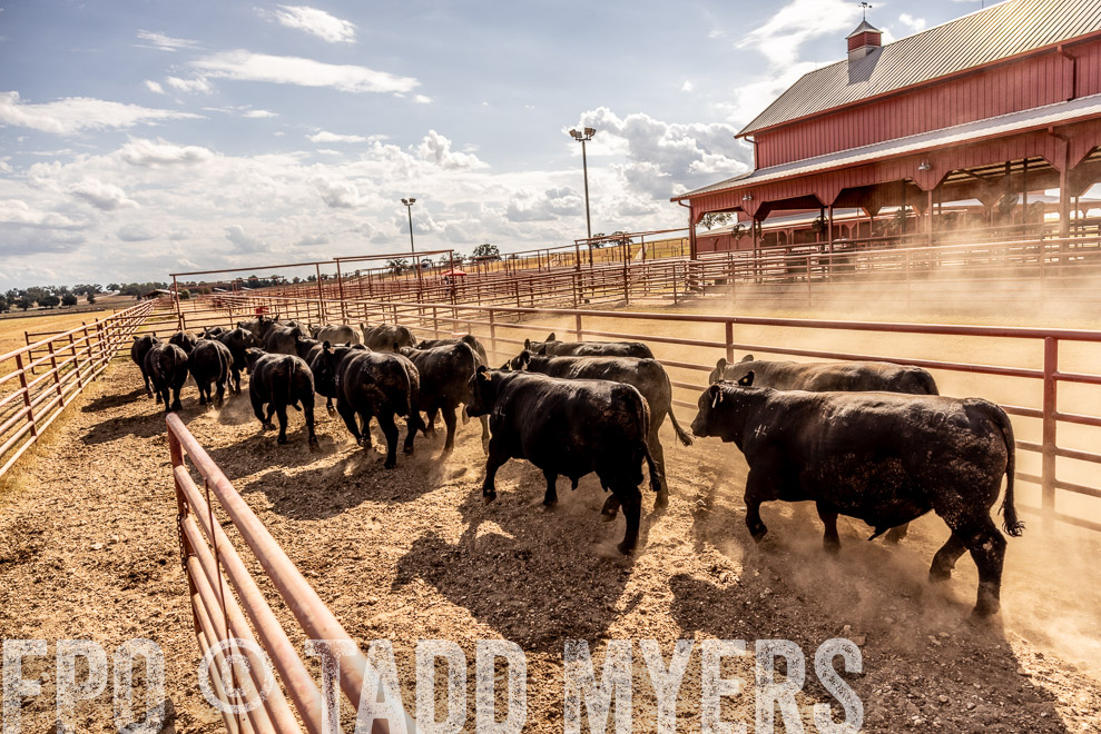 TMyers_SaleBookCover_CameronTX_Sept2021-9283