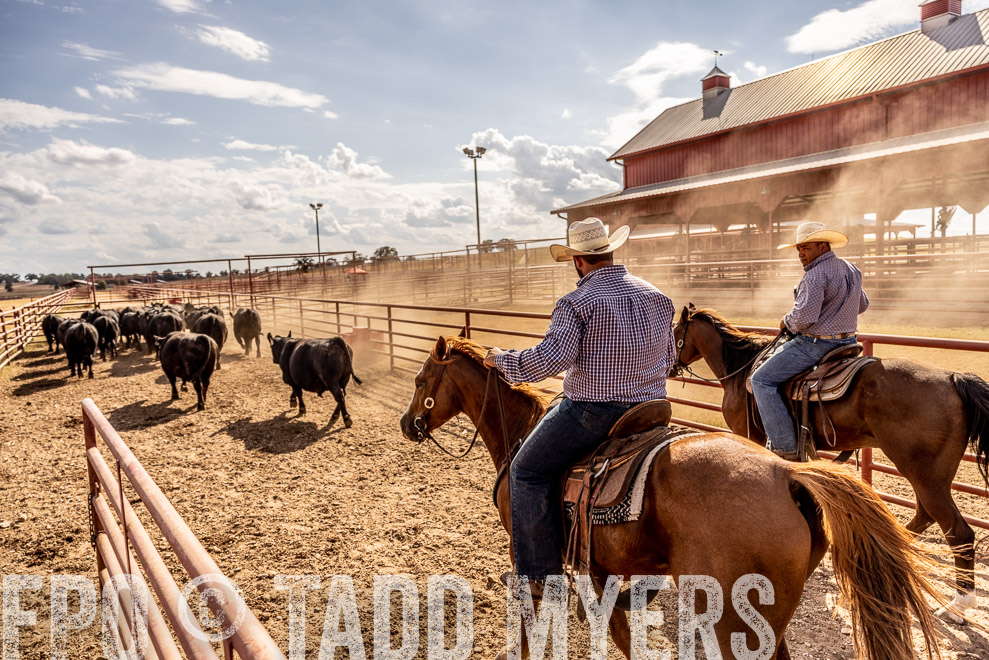 TMyers_SaleBookCover_CameronTX_Sept2021-9299