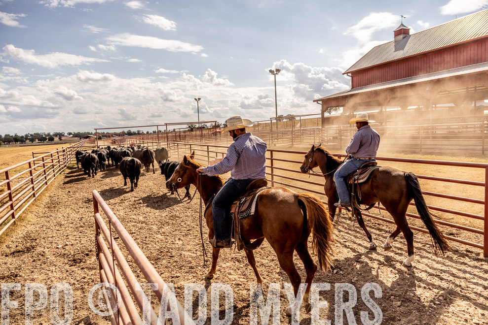 TMyers_SaleBookCover_CameronTX_Sept2021-9306