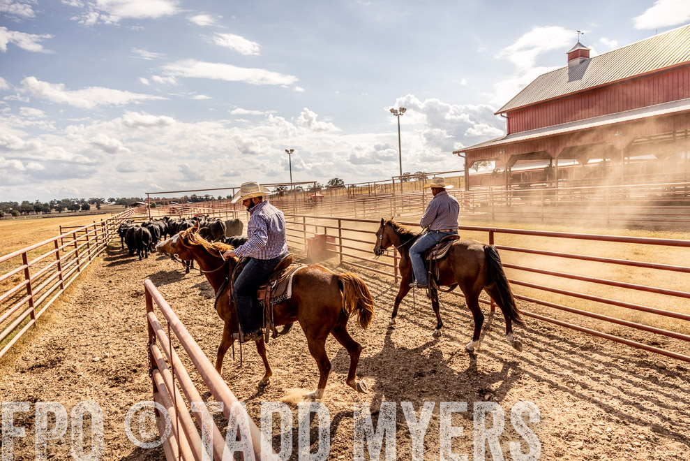 TMyers_SaleBookCover_CameronTX_Sept2021-9311