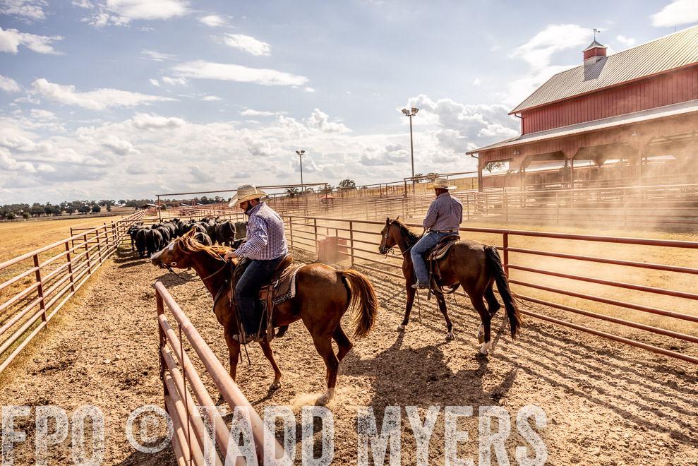 TMyers_SaleBookCover_CameronTX_Sept2021-9312