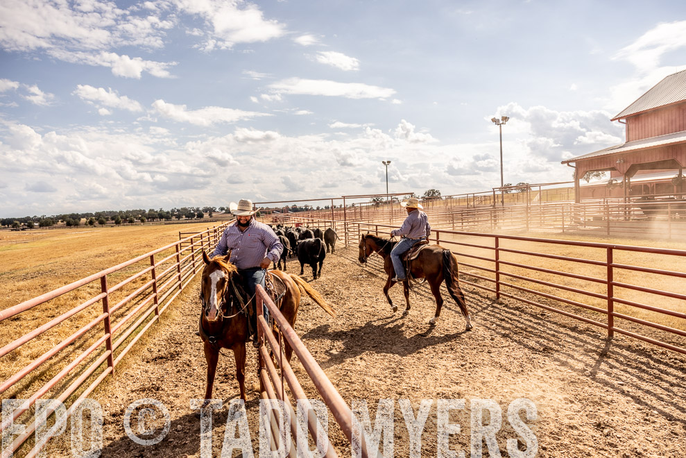 TMyers_SaleBookCover_CameronTX_Sept2021-9321