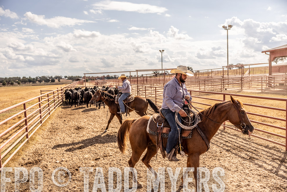 TMyers_SaleBookCover_CameronTX_Sept2021-9338