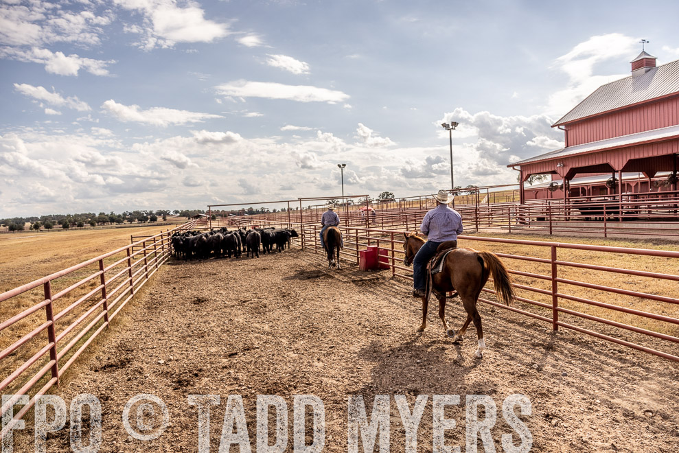 TMyers_SaleBookCover_CameronTX_Sept2021-9358