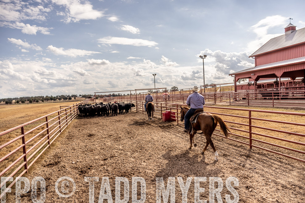 TMyers_SaleBookCover_CameronTX_Sept2021-9359