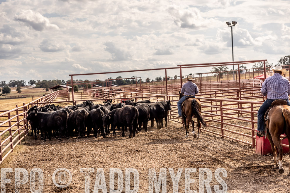 TMyers_SaleBookCover_CameronTX_Sept2021-9362